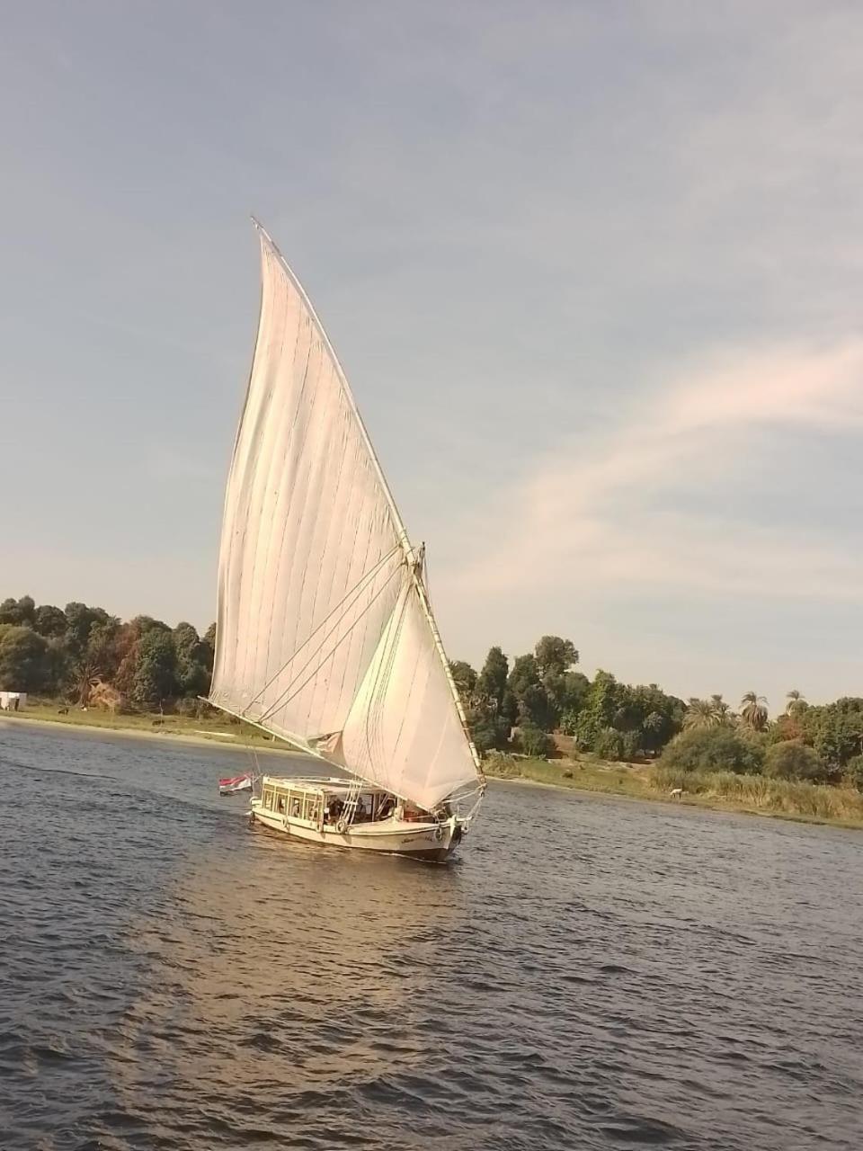 فندق Nile Felucca Adventure أسوان المظهر الخارجي الصورة
